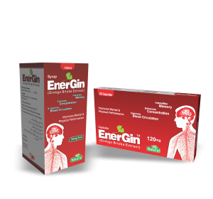 Energin Syp 120ML